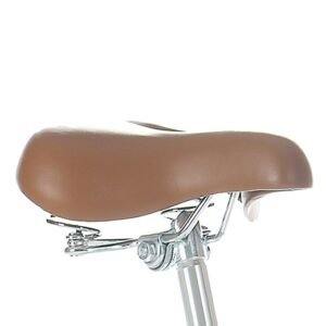 Progear Bikes Pomona Retro/Vintage Petite Ladies Bike 700c*13" in Mint | Fitness Equipment Store