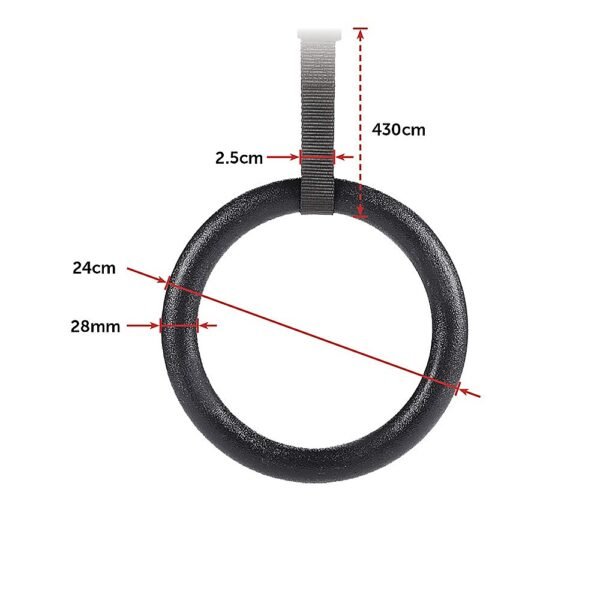 Gym Rings Hoop Gymnastic Exercise Training Fit | Fitness Equipment Store