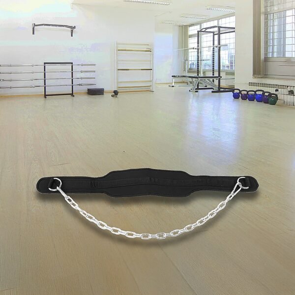 Dipping Dip Weight Lifting Belt | Fitness Equipment Store
