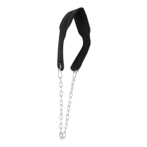 Dipping Dip Weight Lifting Belt | Fitness Equipment Store