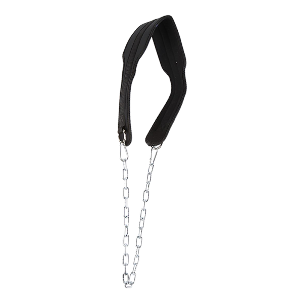 Dipping Dip Weight Lifting Belt | Fitness Equipment Store