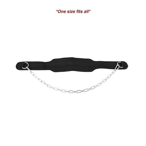 Dipping Dip Weight Lifting Belt | Fitness Equipment Store