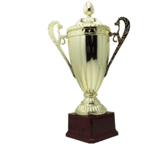 Large Classic Gold Trophy Cup Novelty Winners Prize Solid Achievement Award