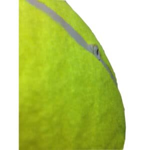 10" GIANT TENNIS BALL with BALL PUMP Air Inflator for Autographs Signatures | Fitness Equipment Store