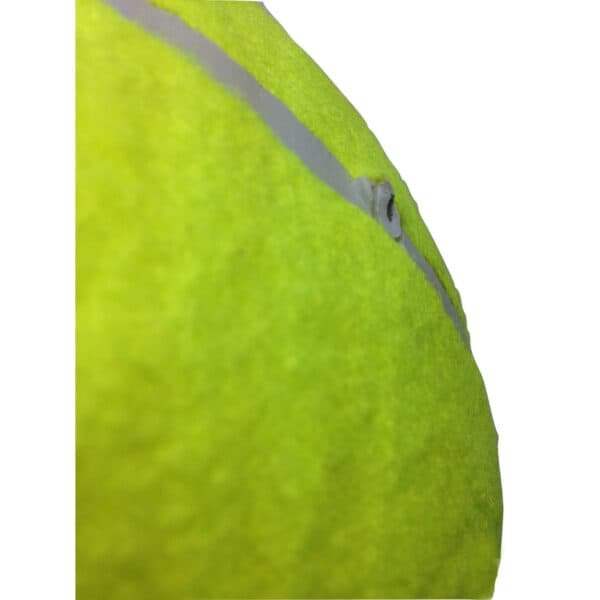 10" GIANT TENNIS BALL with BALL PUMP Air Inflator for Autographs Signatures | Fitness Equipment Store