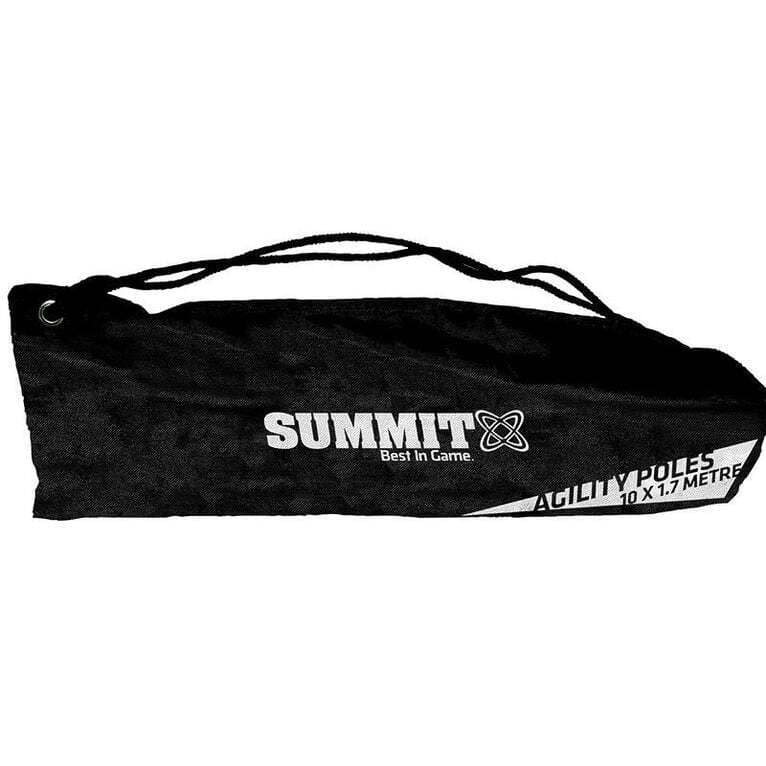 10x Agility Slalom Training Poles with Spike Base 3 10x Agility Slalom Training Poles with Spike Base - Image 3