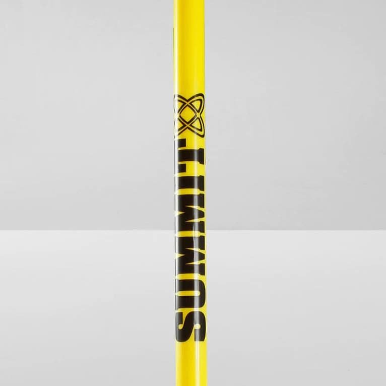10x Agility Slalom Training Poles with Spike Base 5 10x Agility Slalom Training Poles with Spike Base - Image 5