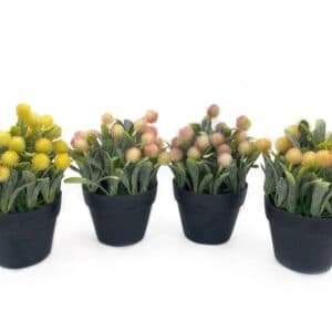 Set 4 Artificial Protea in Pot Assort 20cm