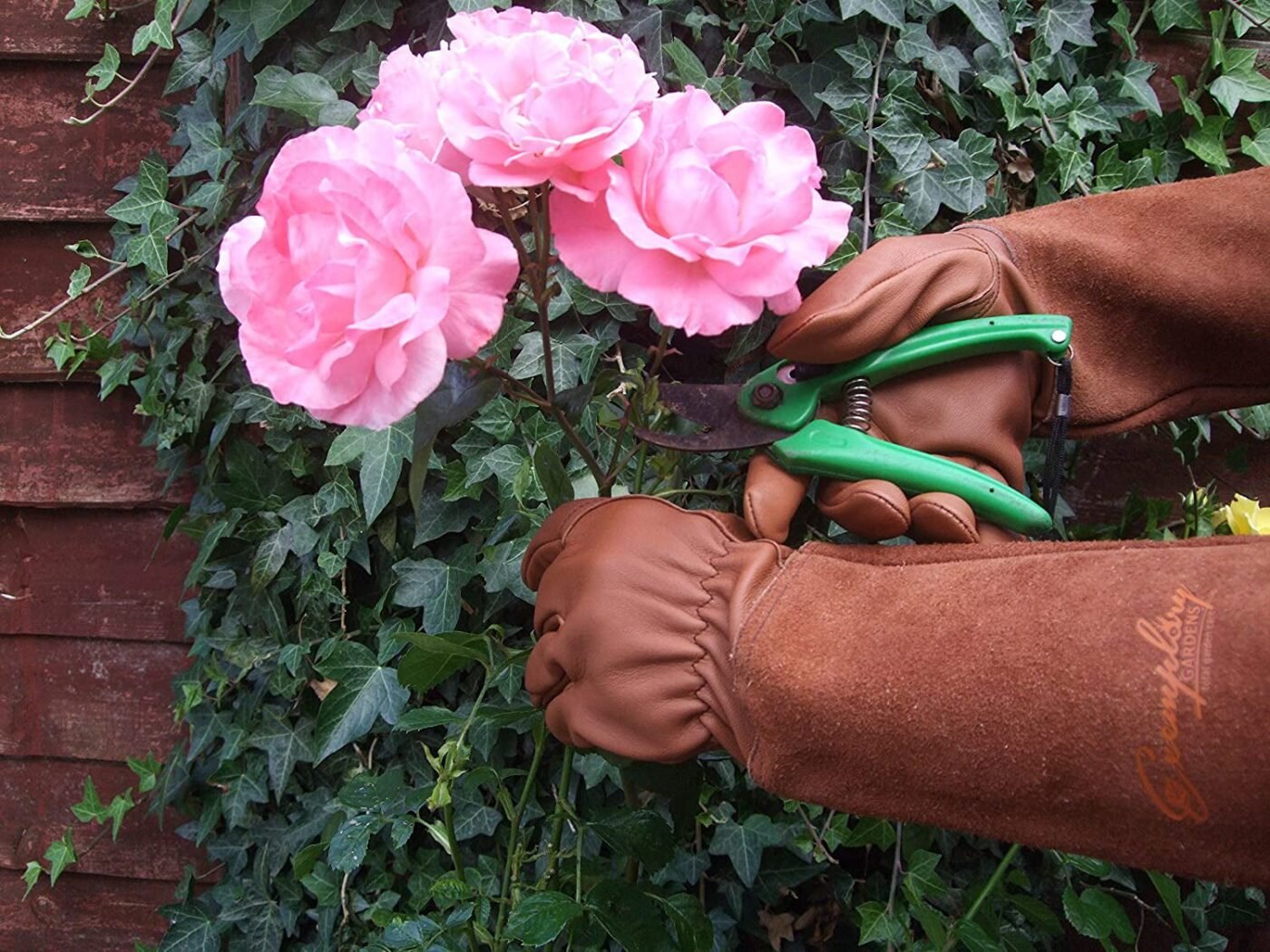 SUCCLACE Long-Gardening-Gloves for Women/Men - Thorn Proof Cowhide Leather Rose/Blackberry Pruning Heavy Duty Gloves Thick Palm Gauntlet Garden Work Gloves with Forearm Protection (Brown-Small) S Brown 2 SUCCLACE Long-Gardening-Gloves for Women/Men – Thorn Proof Cowhide Leather Rose/Blackberry Pruning Heavy Duty Gloves Thick Palm Gauntlet Garden Work Gloves with Forearm Protection (Brown-Small) S Brown - image 2