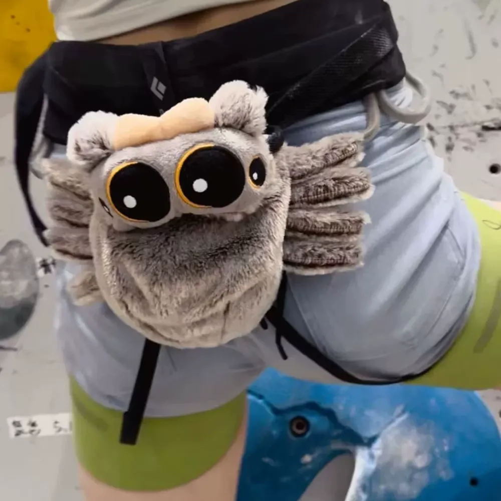 Spider Chalk Bag Rock Climbing Equipment 1 Spider Chalk Bag Rock Climbing Equipment