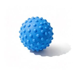 Fascia Ball Raised Point Massage Ball Posture Master Yoga Ball Waist and Back Foot Massage Ball – Blue