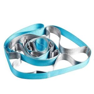 Yoga Straps Stretching Strap with 12 Loops Workout Poster Long Stretch Out Bands compatible with Stretching Physical Therapy Equipment – Blue