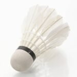 12 PCS Duck Feather Badminton Training Ball