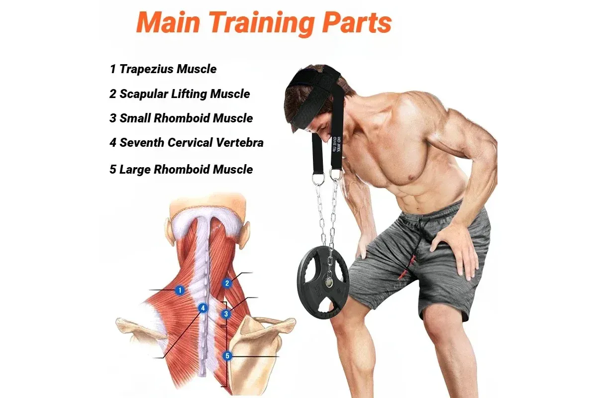 Head Neck Training Harness Exercise Cervical Spine Strap Adjustable Gym Fitness Weight Bearing Device - Blue 4 Head Neck Training Harness Exercise Cervical Spine Strap Adjustable Gym Fitness Weight Bearing Device – Blue - image 4