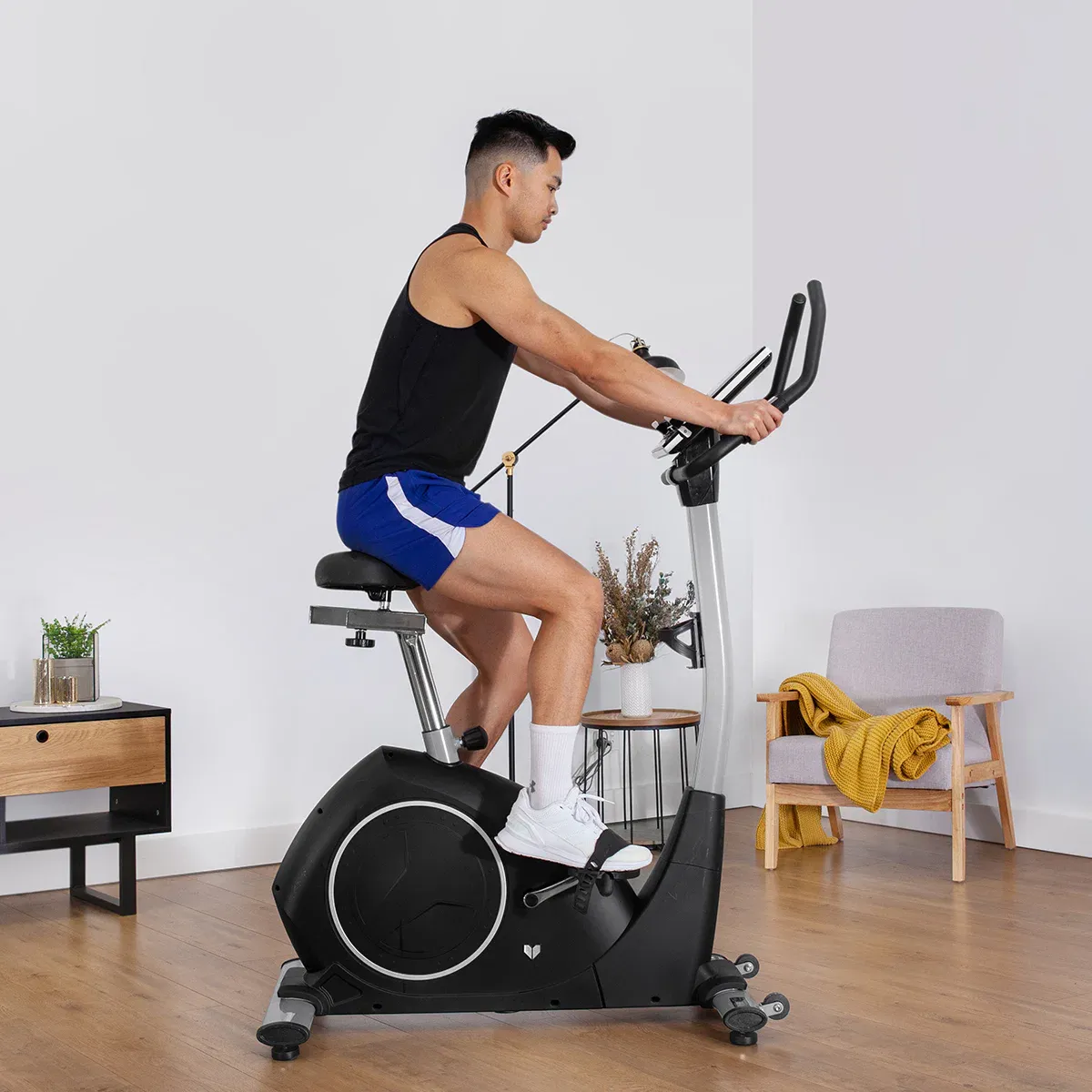 Lifespan Fitness EXER-80 Exercise Bike 2 Lifespan Fitness EXER-80 Exercise Bike - image 2