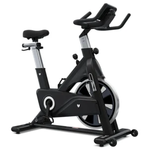 Lifespan Fitness SM810 Commerical Spin Bike