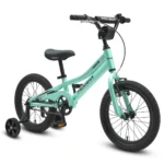 Progear DuraLite Kids Bike 16″ – Mint