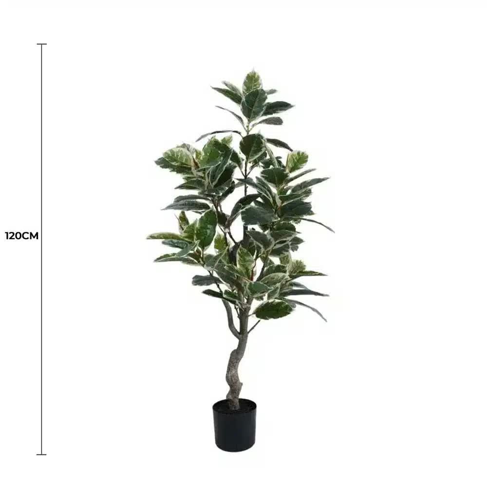 Artificial Bushy Variegated Ficus Tree (Rubber Tree) 120cm 1 Artificial Bushy Variegated Ficus Tree (Rubber Tree) 120cm