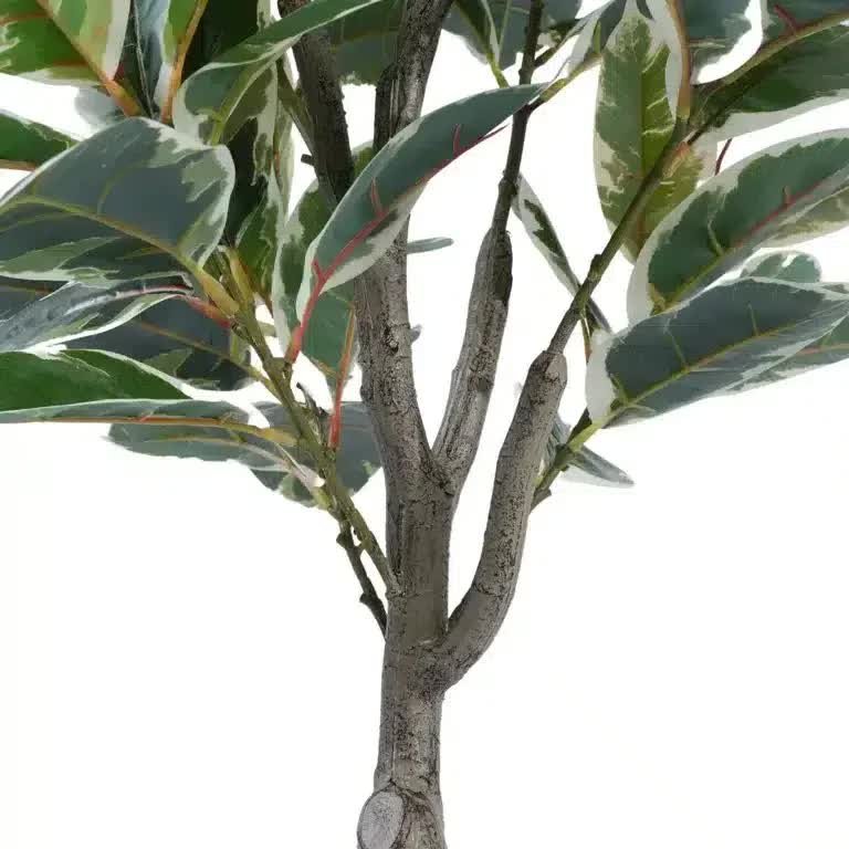Artificial Bushy Variegated Ficus Tree (Rubber Tree) 120cm 5 Artificial Bushy Variegated Ficus Tree (Rubber Tree) 120cm - image 5