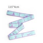Blue and Purple 9-Loop Yoga Stretch Strap – Numbered Band for Flexibility and Physical Therapy
