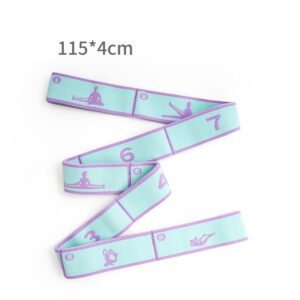Blue and Purple 9-Loop Yoga Stretch Strap – Numbered Band for Flexibility and Physical Therapy